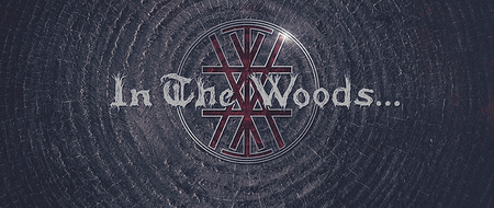 In The Woods Logo