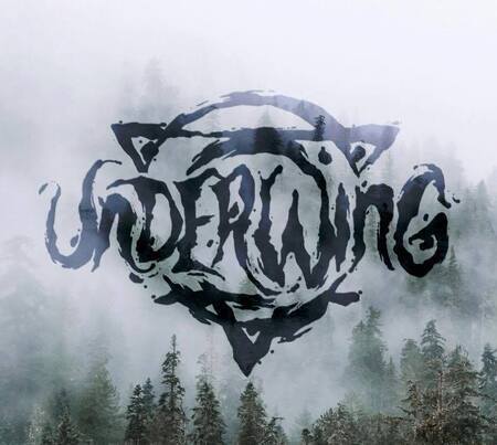 Underwing Logo