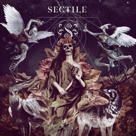 Sectile 20
